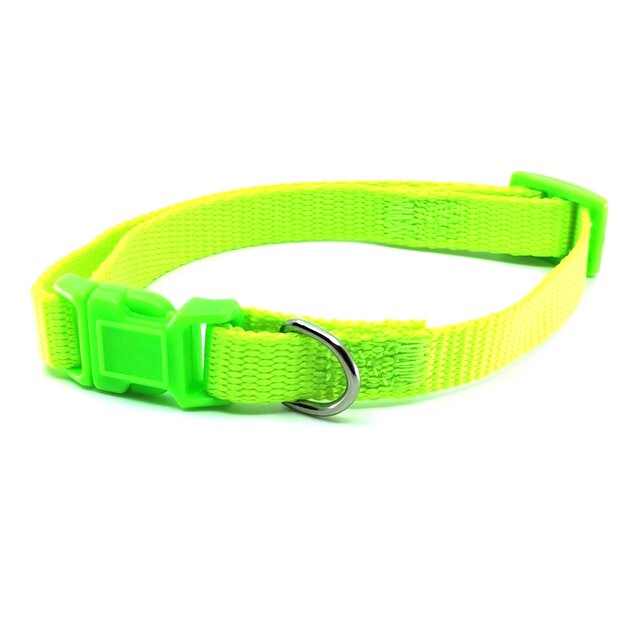 neonovy obojok zeleny 1 cm-